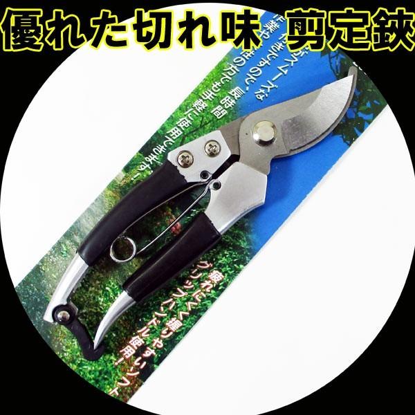  A؃nT~ J[{X`[ ͂ NbVXgbp[t Yf| Dꂽ؂ꖡ WJ-8148/1485Q{Zbg/