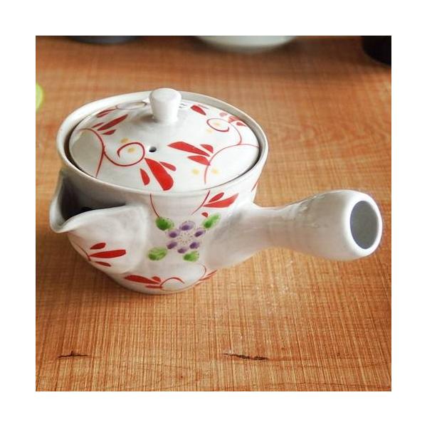 aH Lc g }{  t 1lp(񂹏i i1x)