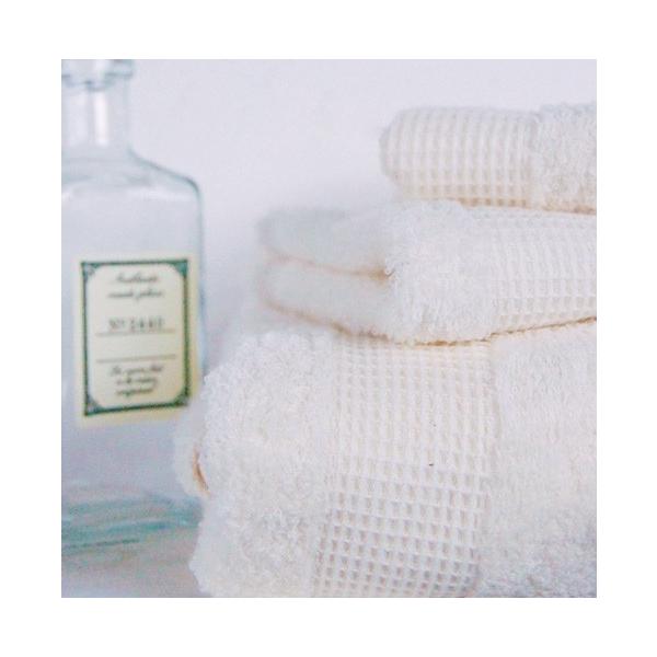 tFCX^I bt {[_[ ^I Mtg RebNX(񂹏i i1x)