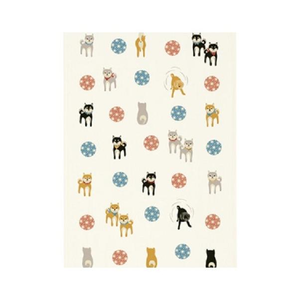 `OX֑Ή z Ăʂ Č ^I ^I ʂ  Ck(񂹏i i1x)