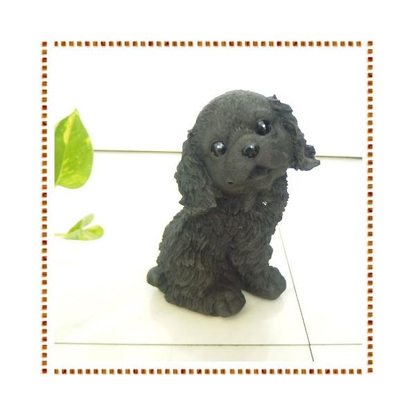 lYveB[hbOV[Y LoA u   蕨 Mtg v[g(񂹏i i1x)