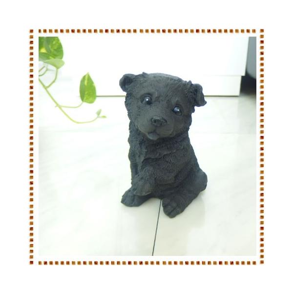 lYveB[hbOV[Y VFbghV[vhbN(݌ɕi i1x)