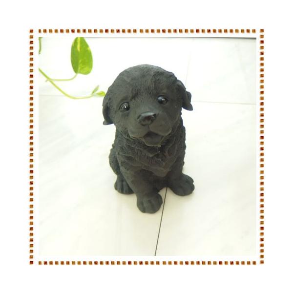 s݌ɕitlYveB[hbOV[Y S[fgo[   q eCk L(݌ɕi i1x)