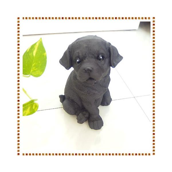 s݌ɕitlYveB[hbOV[Y uh[go[ u   v[g L(i1x)