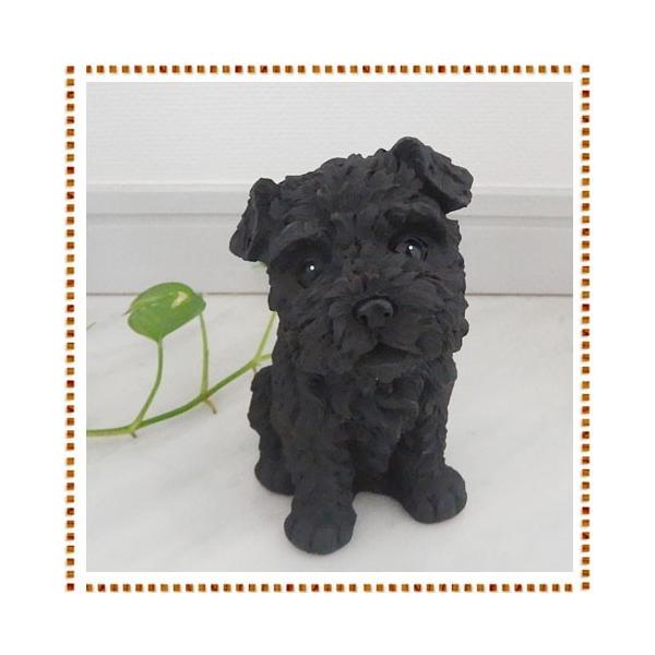 s݌ɕitlYꃉu[hbOV[Y ViEU[ u   v[g L(i1x)