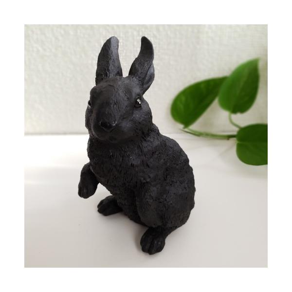 s݌ɕitN x KN lY Rabbit  IuWF L(񂹏i i1x)