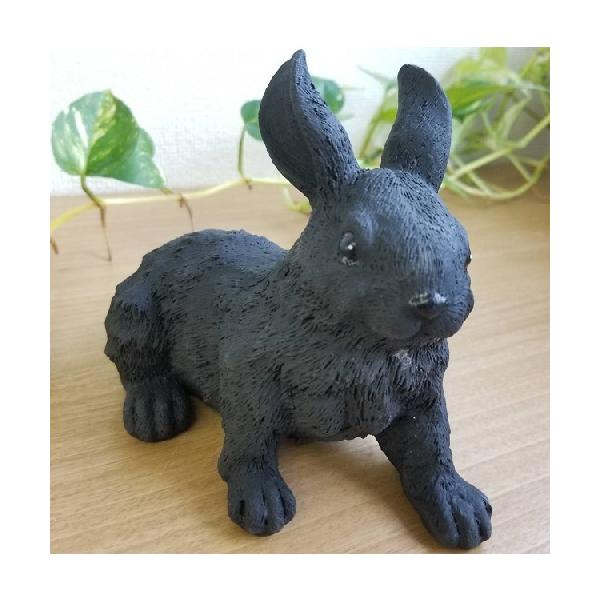 s݌ɕitN x KN lY Rabbit 肤 IuWF L(i1x)