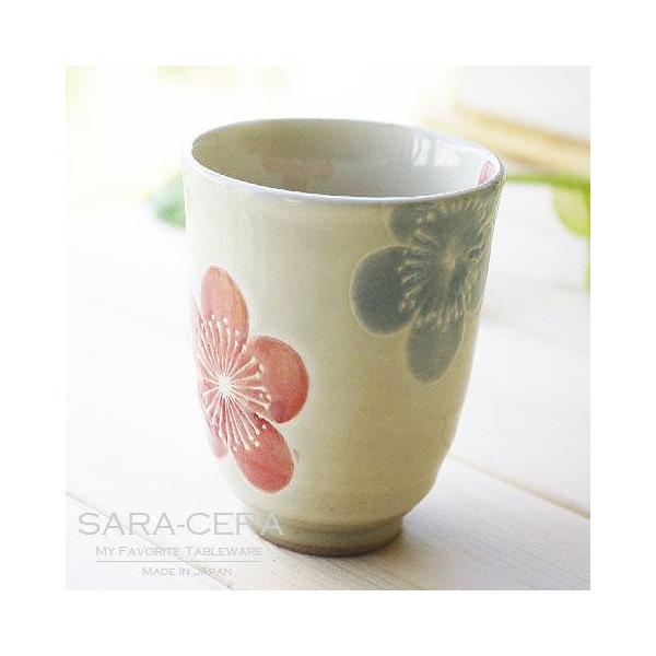 Lc g aH ~ ̂  (i1x)200420000078