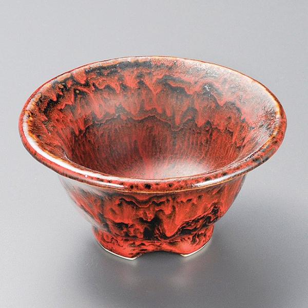 aH  ԓVڗۏ 12.7×6.5cm {E   JtF  