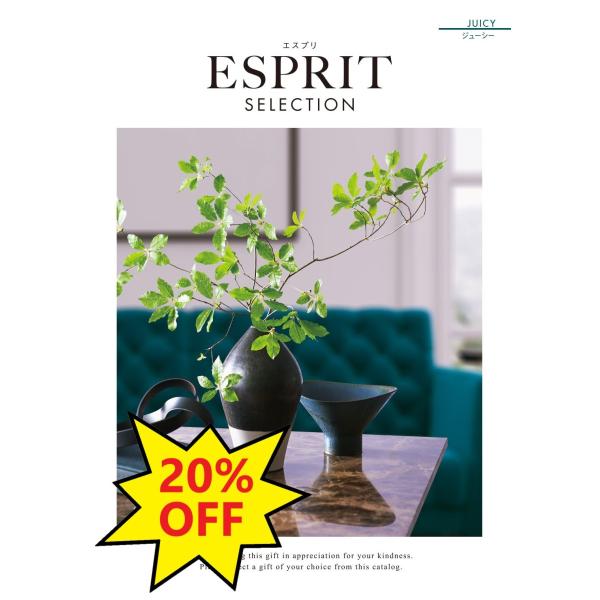 J^OMtg@n[jbN GXvESPRIT@W[V[@50,900~R[Xiŕʁj[z[e킨jjCjLOi[