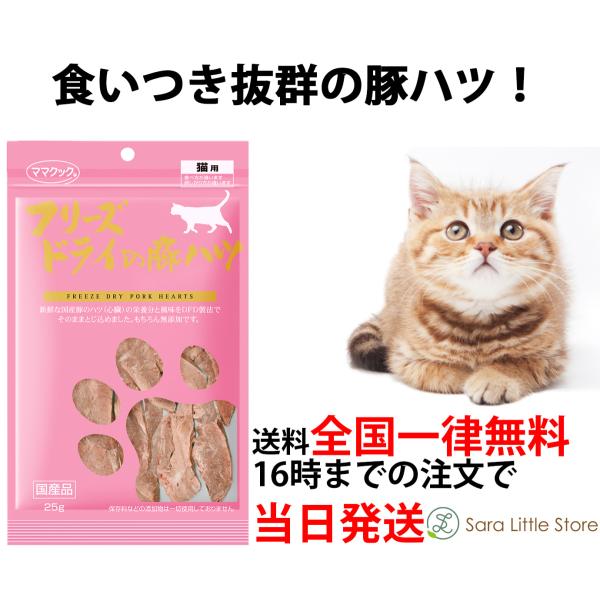 }}NbN L t[YhC ؃ncLp 25g L  Y Y