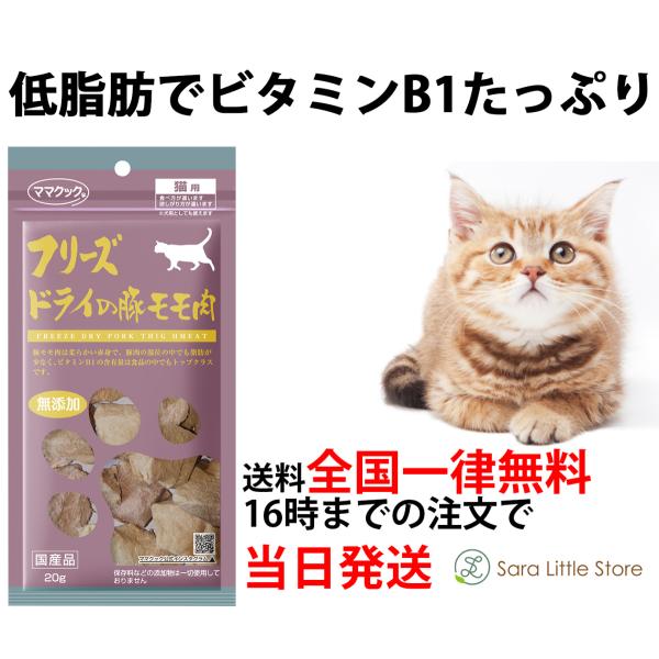 }}NbN L t[YhC ؃Lp20 L  Y Y