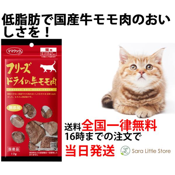 }}NbN L t[YhC  17 L  Y Y