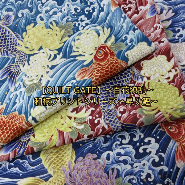 鮮やか 花柄模様 三色鯉 37cm±