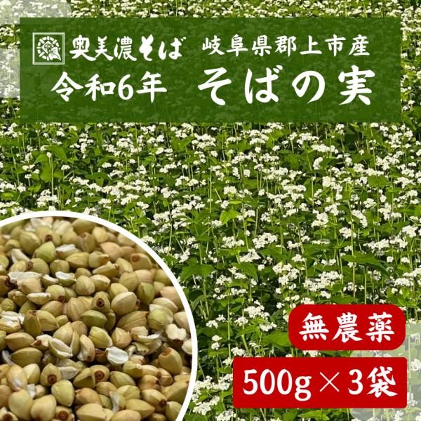 【送料無料】岐阜県郡上市産 そばの実【3袋】