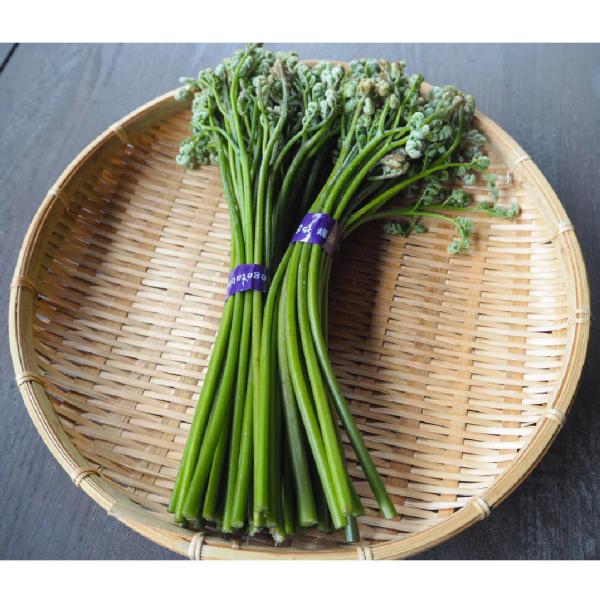 [Release date: May 9, 2026]キーワード：わらび 蕨 ワラビ 山菜 天然  天然山菜・内容量：1kg・お届け時期：5月上旬〜5月下旬・発送方法：ヤマト運輸 冷蔵便※天然物の為、大きさには多少のばらつきがございます