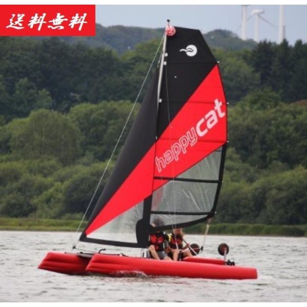 ヨット船体　カタマランヨット　ハッピーキャット　全長　4m20cm ネオ