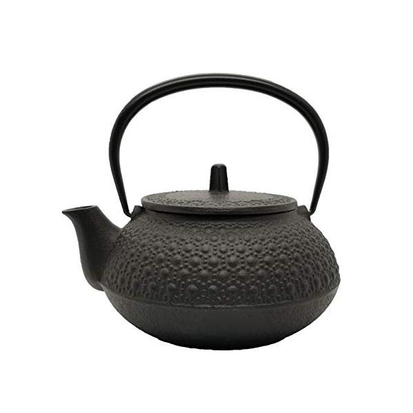 岩鋳 Iwachu 鉄瓶兼用急須 5型新亀甲 黒焼付 0.65L ホーロー無し 直火可 南部鉄器 12804 :s-4940210128049-20221217:ささのはストア 通販 南部鉄器 棒文鎮 桜 グリーン 大