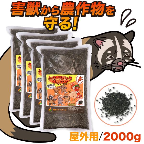 ハクビシン駆除屋外用 2000g ハクビシン 忌避剤 屋外用 害獣忌避剤 害