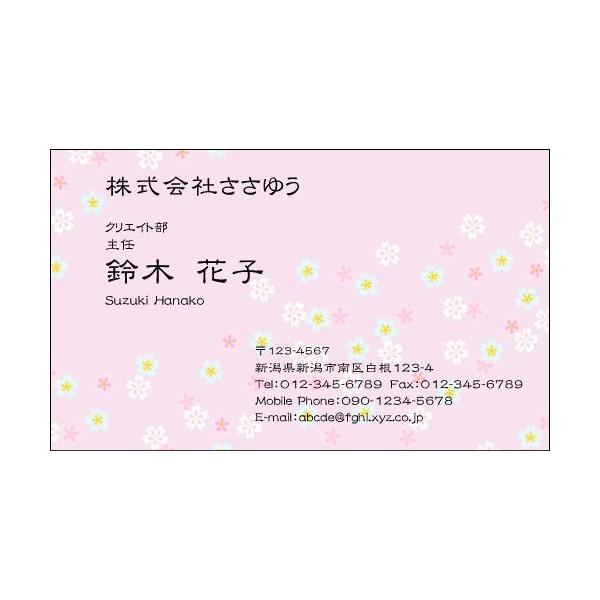 wfUChxt[h F_027_h uJ[hЖ100P[Xtvev[gIŊȒPh쐬