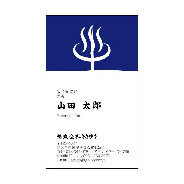 wfUChxEEƖh H_406_m uJ[hЖ100P[Xtvev[gIŊȒPh쐬