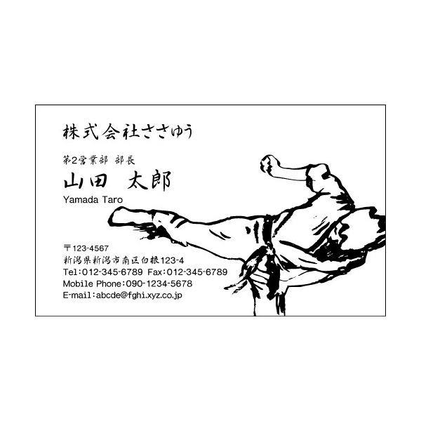 wfUChxEEƖh H_861_s uJ[hЖ100P[Xtvev[gIŊȒPh쐬