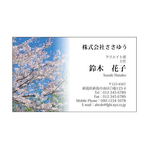 wfUChxGߖh K_401_s  uJ[hЖ100P[Xtvev[gIŊȒPh쐬