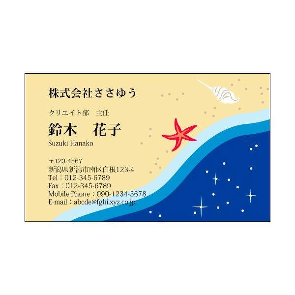 wfUChxGߖh K_508_yr  uJ[hЖ100P[Xtvev[gIŊȒPh쐬