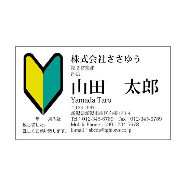 wfUChxj[NEACfBAh U_103_m uJ[hЖ100P[Xtvev[gIŊȒPh쐬