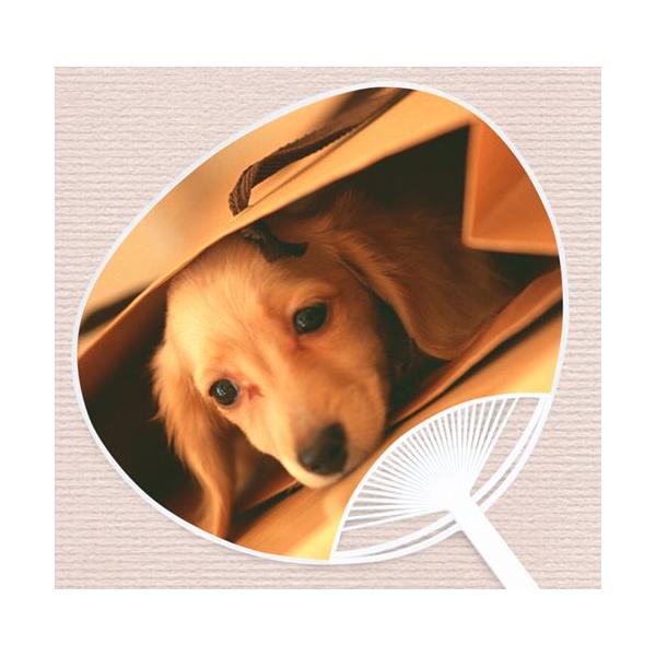 qEqLV[Yw~j`A_bNXtgiN[jx