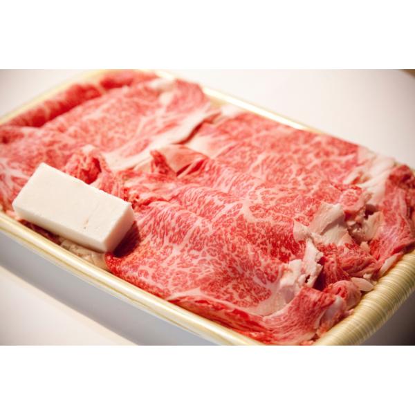 丹波篠山牛（黒毛和牛）ロース  急速冷凍 600g　送料無料