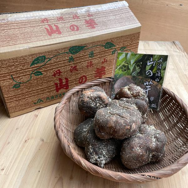 [Release date: November 28, 2022]山の芋は外観のごつごつした見た目とは対照的に、肉質は純白できめ細やかな粘りがあり、その粘りの強さは長芋と比べると４倍とも言われています。栄養豊富で滋養強壮に優れた栄養食品とし...