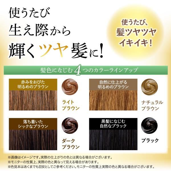 白髪用 無添加 利尻白髪かくし 2本セット 送料無料 初回限定 レディース メンズ しらが サスティ Buyee 日本代购平台 产品购物网站大全 Buyee一站式代购 Bot Online