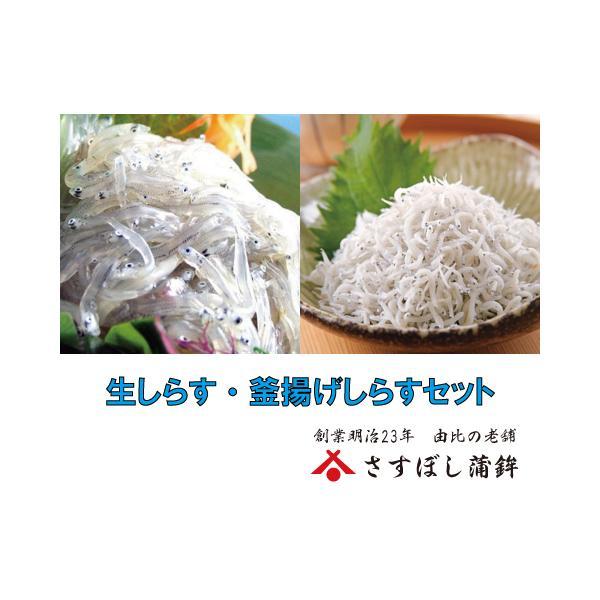お歳暮 御歳暮 冬ギフト 【しらすセット】(生しらす 100g・釜揚げしらす160g)駿河湾産！