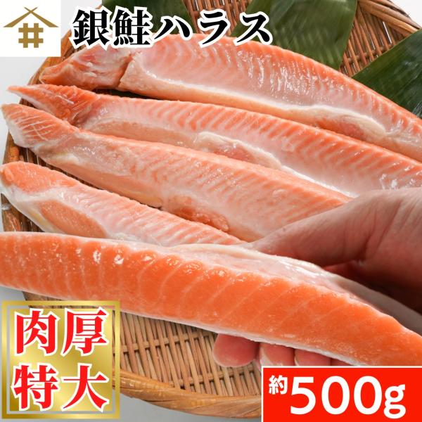 甘塩銀鮭ハラス 500g お試しサイズ サーモンハラス さけ シャケ 魚 お弁当 おにぎり お弁当 お茶漬け 絶品  贈答 お中元 お歳暮 敬老の日 さかな