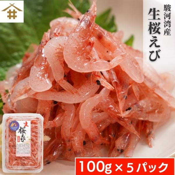 駿河湾産 生桜えび 100g×5パック 無添加 鮮度抜群 大井川港水揚げ 桜えび 産地直送 お店