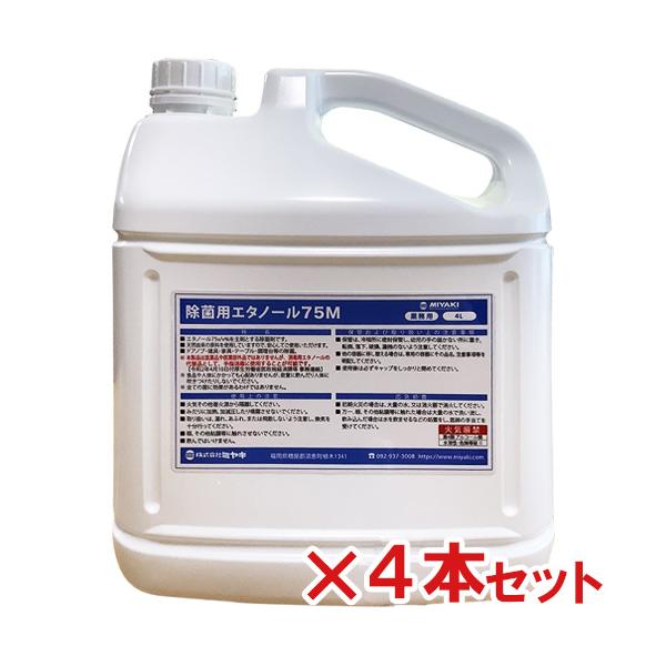 ~L ۗpG^m[75M 4L 4{Zbg()