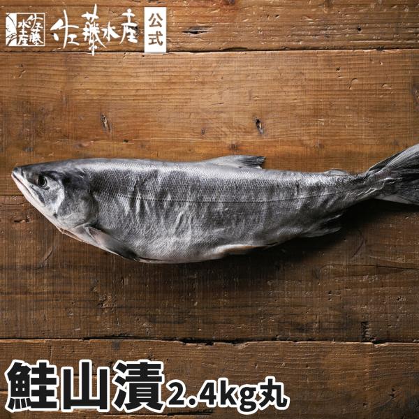 鮭山漬2.4kg(丸)