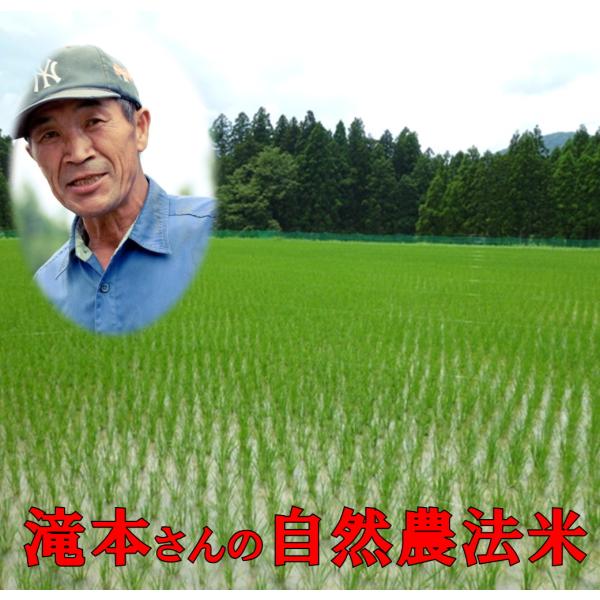コシヒカリ 無農薬玄米 30kg 令和7年産 新米 福井県産 無農薬 米