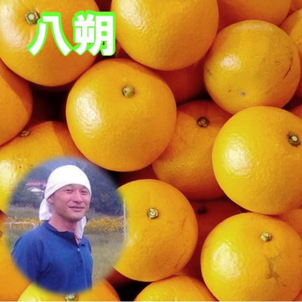 _  10kg LY ͂ \̃nbTN