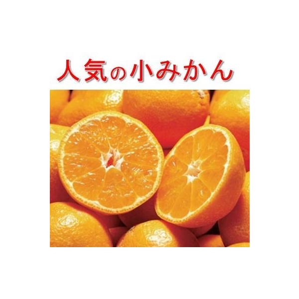 ʂ݂ 3kg Q Fa݂ ~J Q݂ ݂ 