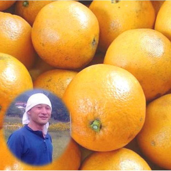 _ l[uIW 10kg l[u \ l[uIW Y