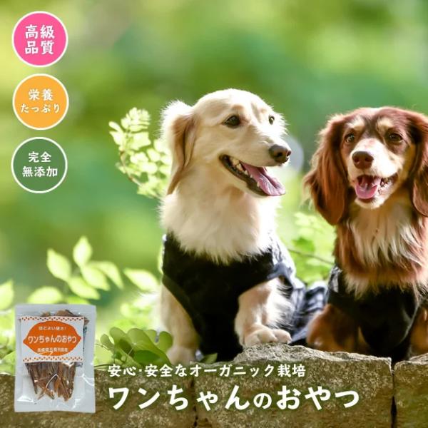 無添加 ワンちゃん おやつ 安納芋 お試し 消化 ペットフード 国産 干し芋 干しいも ほしいも さつまいも ギフト