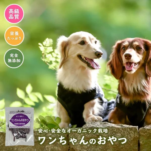 無添加 ワンちゃん おやつ 紫芋 お試し 消化 ペットフード 国産 干し芋 干しいも ほしいも さつまいも ギフト