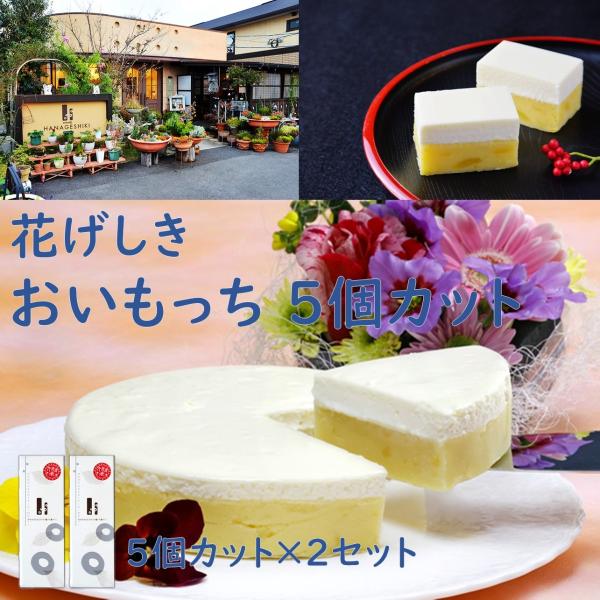 おいもっち5コカット × 2本セット　レアチーズケーキ