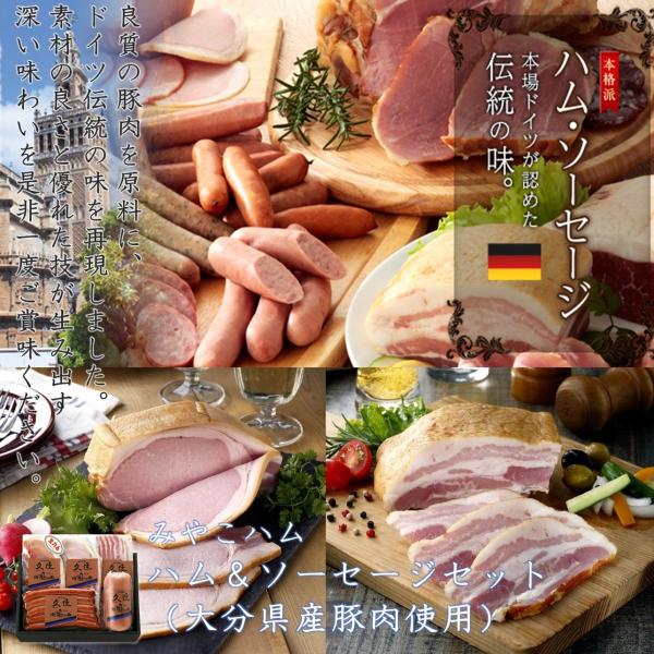送料込 みやこハム ハム&ソーセージセット（大分県産豚肉使用） : 九州