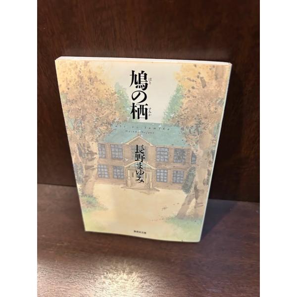 鳩の栖 集英社文庫 長野 まゆみ