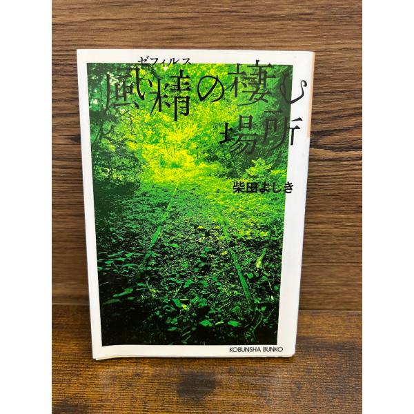 風精の棲む場所 新装版 (光文社文庫) 柴田 よしき