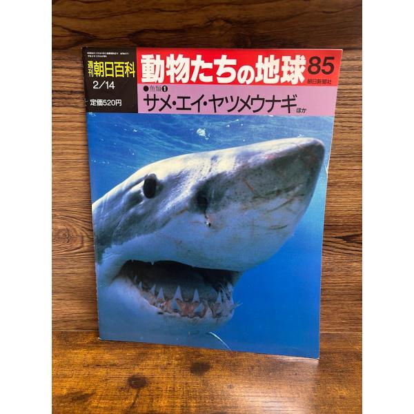 週刊朝日百科　動物たちの地球 85　サメ・エイ・ヤツメウナギほか