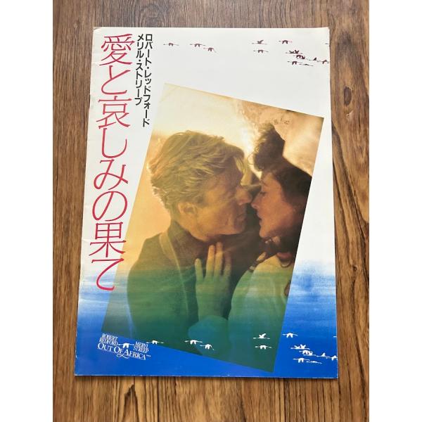 パンフレット　愛と哀しみの果て